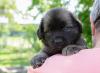 images/T-Wurf/T-Wurf Wo 6/3S8A2672_dunkelgrun.jpg